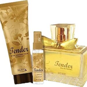 my way tender set for women with a parfum deodorant cream perfumed spray hairdresser 256.0